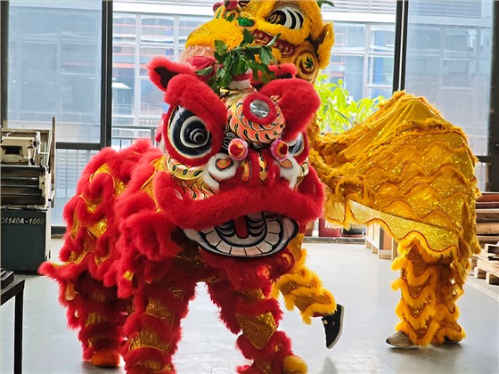 b833c4dbf568a03e062ab6f996b58982